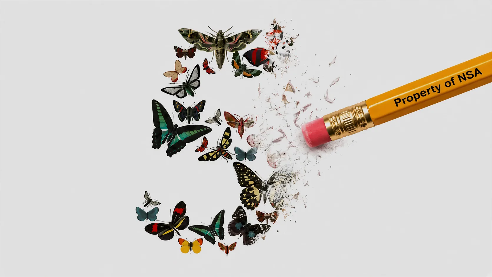 Dozens of butterflies and moths arranged into the letter S on a pale grey background, the right side crumbling into flecks as a yellow pencil eraser rubs them away, the pencil printed "Property of NSA".